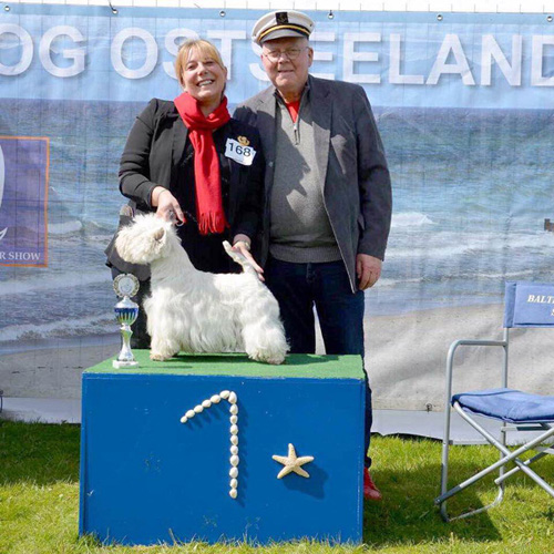 Baltic Terrier Show 2016 :: Bettyhill’s Westies