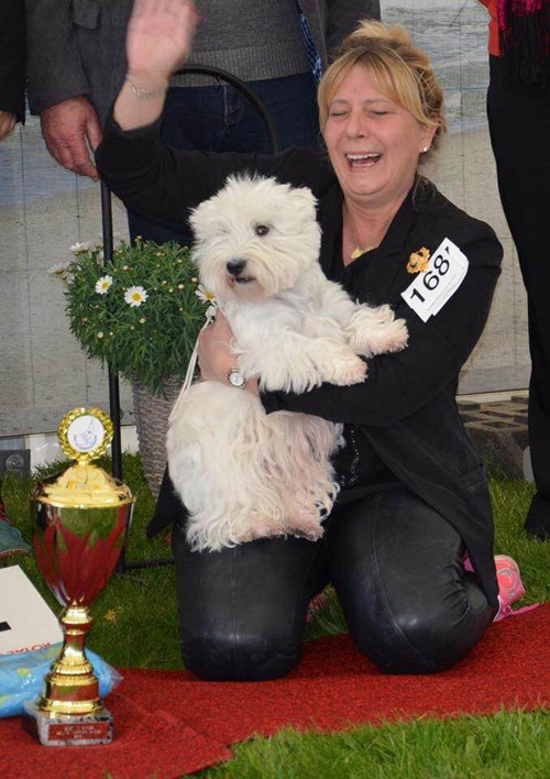 Baltic Terrier Show 2016 :: Bettyhill’s Westies