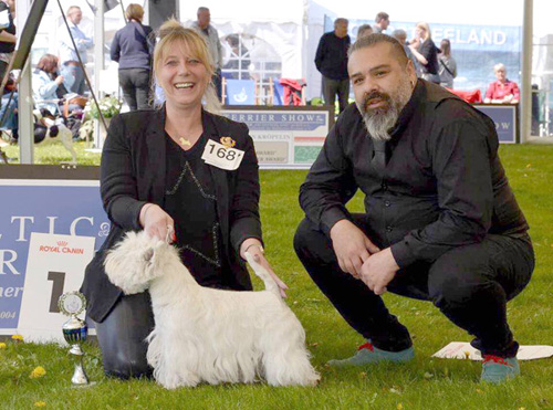 Baltic Terrier Show 2016 :: Bettyhill’s Westies