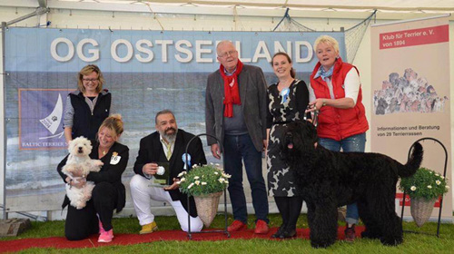 Baltic Terrier Show 2016 :: Bettyhill’s Westies
