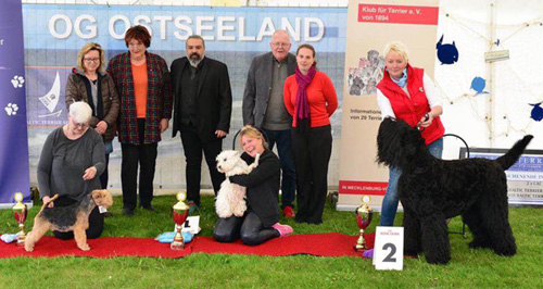 Baltic Terrier Show 2016 :: Bettyhill’s Westies