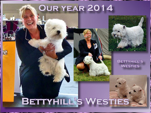 Highlights 2014 :: Bettyhill’s Westies