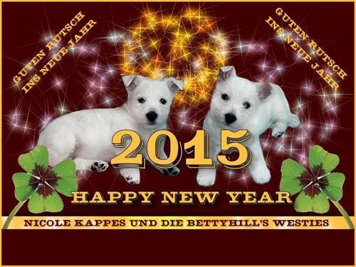 Happy New Year 2015! :: Bettyhill’s Westies