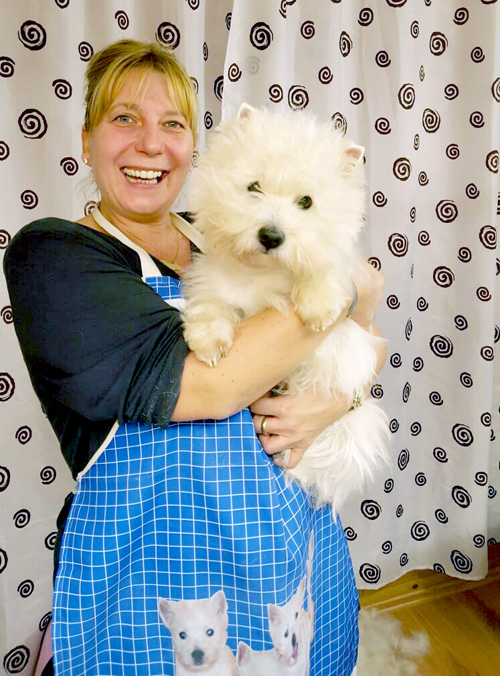 professionelles Handtrimming von Westies bei den Bettyhills Westies