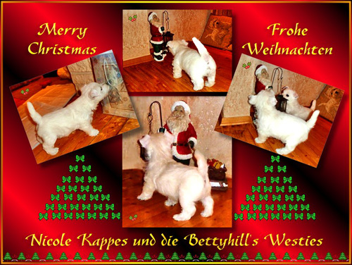 Weihnachtsgrüße 2014 :: Bettyhills Westies