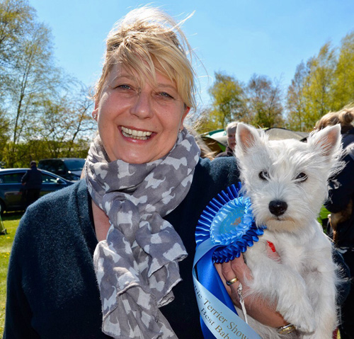 Baltic Terrier Show 2017