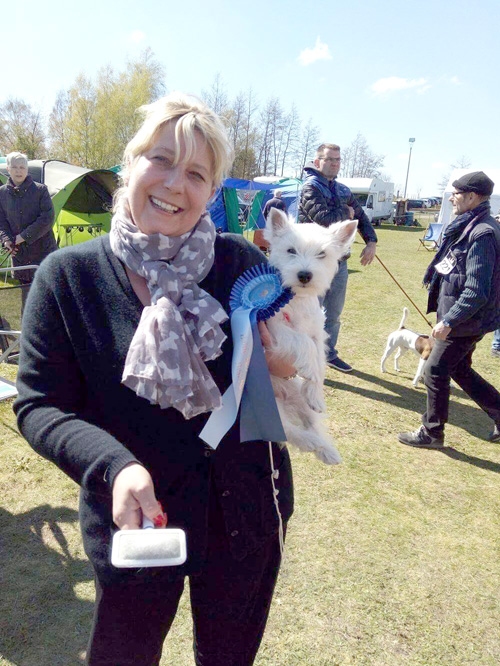 Baltic Terrier Show 2017