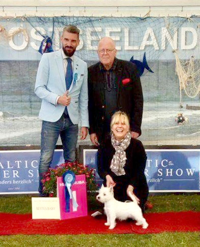 Baltic Terrier Show 2017