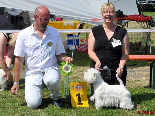 Dog in Park 2015 :: Bettyhill’s Westies