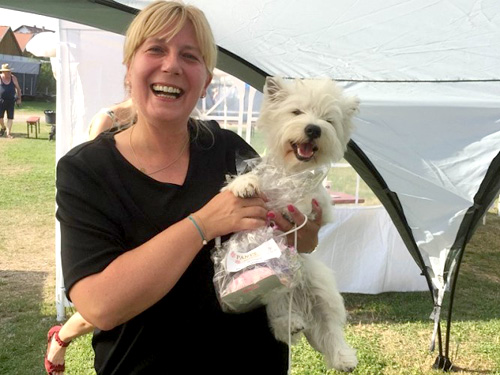 Dog in Park 2015 :: Bettyhill’s Westies