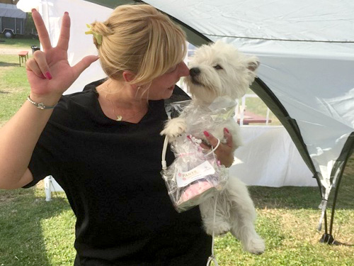 Dog in Park 2015 :: Bettyhill’s Westies