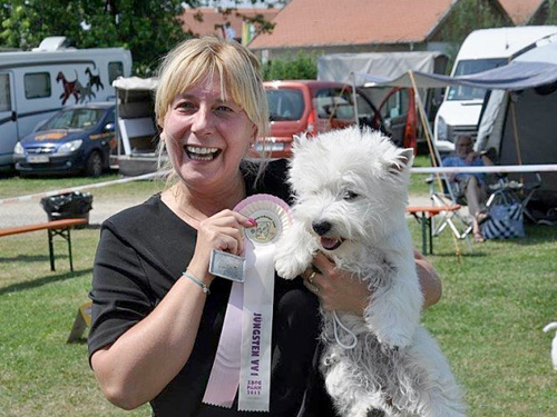 Dog in Park 2015 :: Bettyhill’s Westies