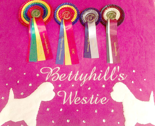 Zoe OG Dormagen :: Bettyhill’s Westies