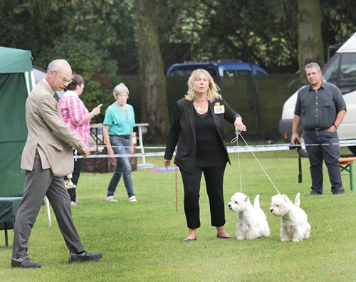 Ausstellung in Köppern :: Bettyhills Westies