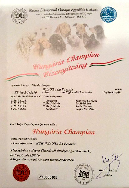 Mias Ungarischer Champion-Titel :: Bettyhill’s Westies