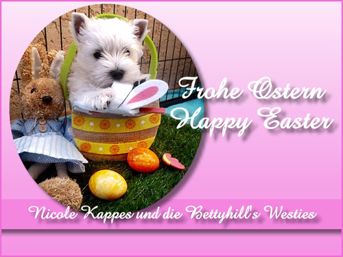 Frohe Ostern :: Bettyhill’s Westies