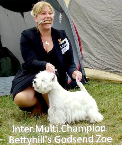 Zoe ist Ungarischer Champoin :: Bettyhill’s Westies