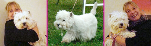 Ungarn 2014 :: Bettyhill’s Westies