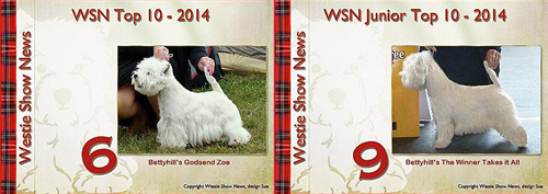 WSN Top 10 2014 :: Bettyhill’s Westies