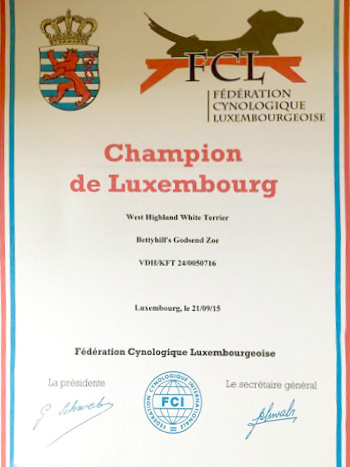 Zoes Urkunde Champion Luxembourg :: Bettyhill’s Westies