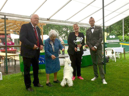 Zoe :: Bettyhill’s Westies